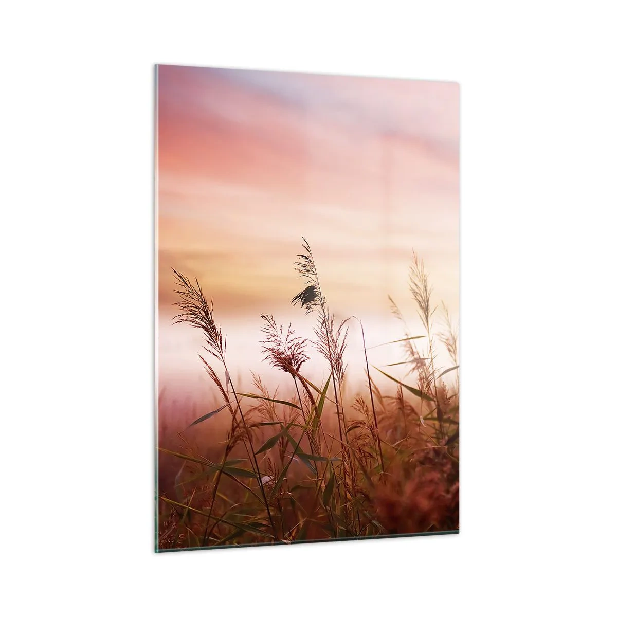 Impression sur verre - Image sur verre - Une prairie dans le brouillard du matin avec un ciel pastel - 50x70cm - Cerfs-volants, pissenlits, vent - Décoration murale moderne pour le salon et la chambre ARTTOR