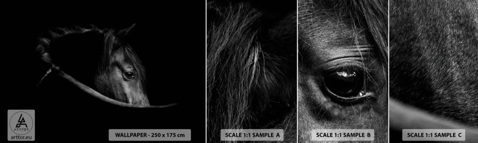 Échantillon De Papier Peint Standard Eco - Prince Noir - Cheval, Animal, Artistique - 100x30 cm