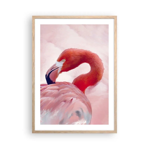 Affiche dans un chêne clair - Poster - Beauté des oiseaux - 50x70 cm