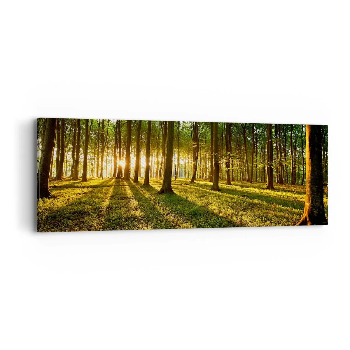 Impression sur toile - Image sur toile - Toutes les photographies de printemps - 90x30 cm