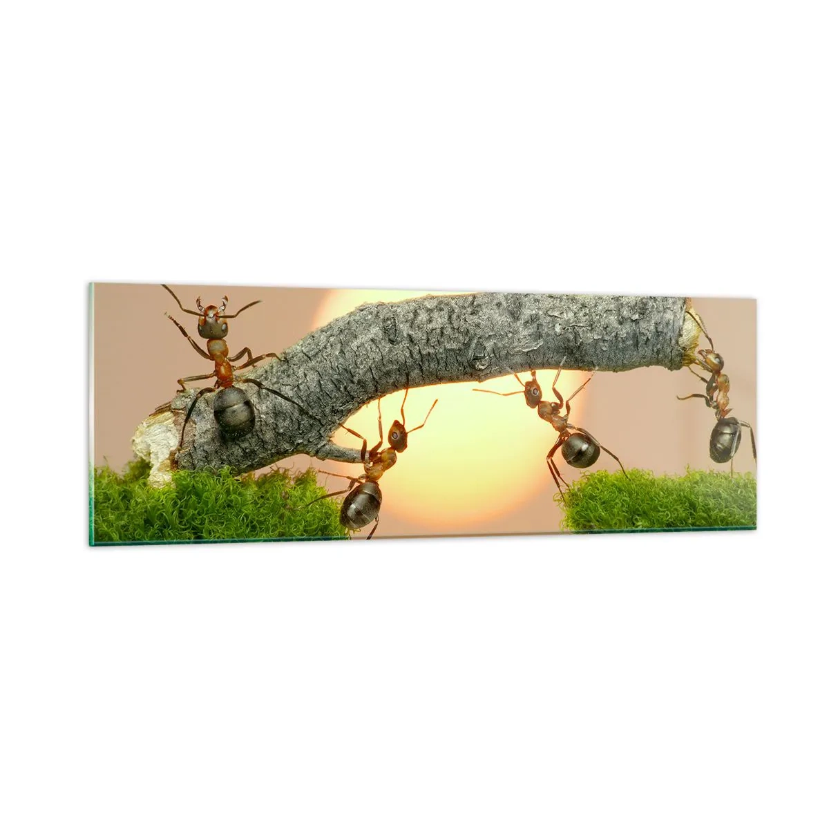 Impression sur verre - Image sur verre - La joie, travaille d'équipe - 90x30 cm