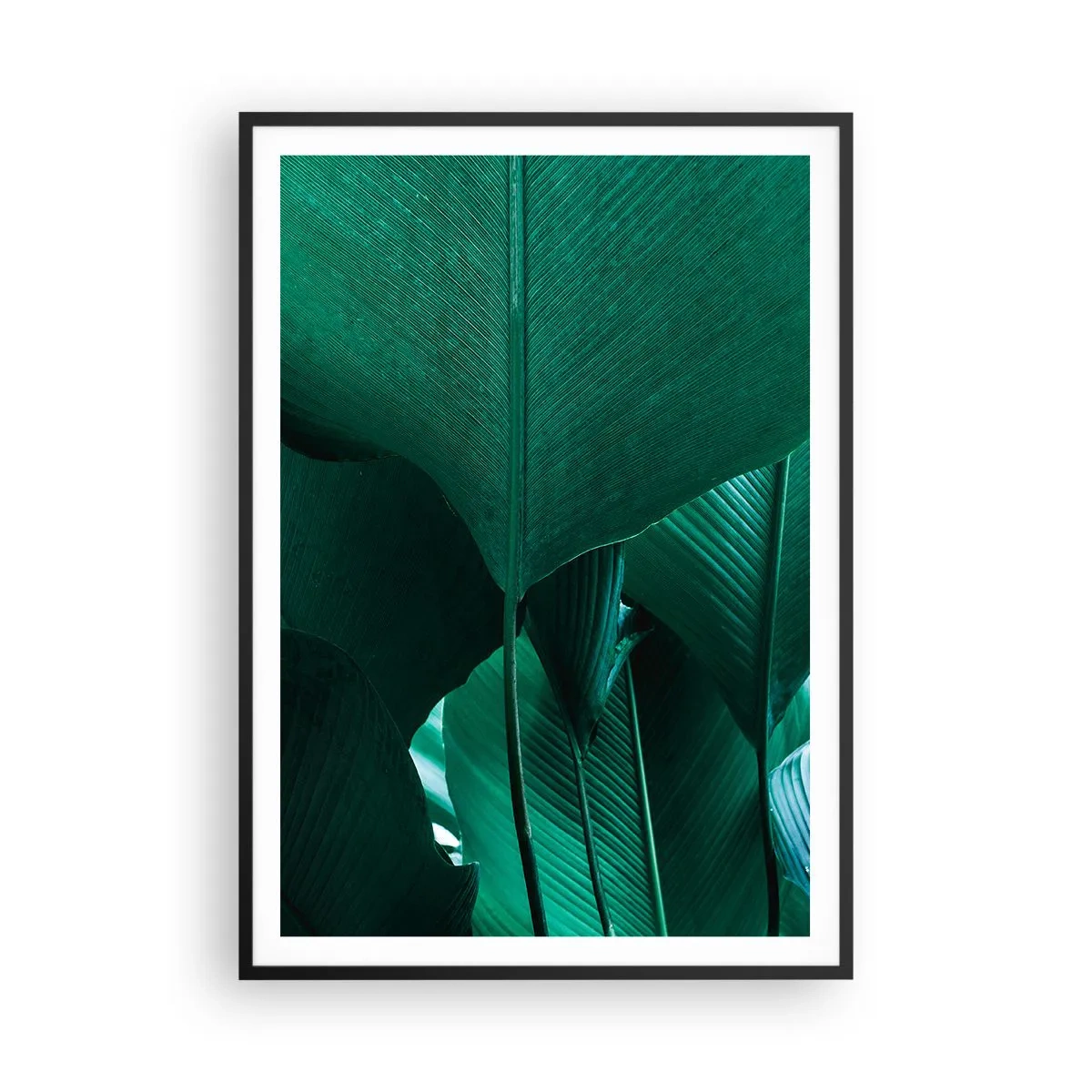 Affiche dans un cadre noir - Poster - Tourné vers la lumière - 70x100 cm