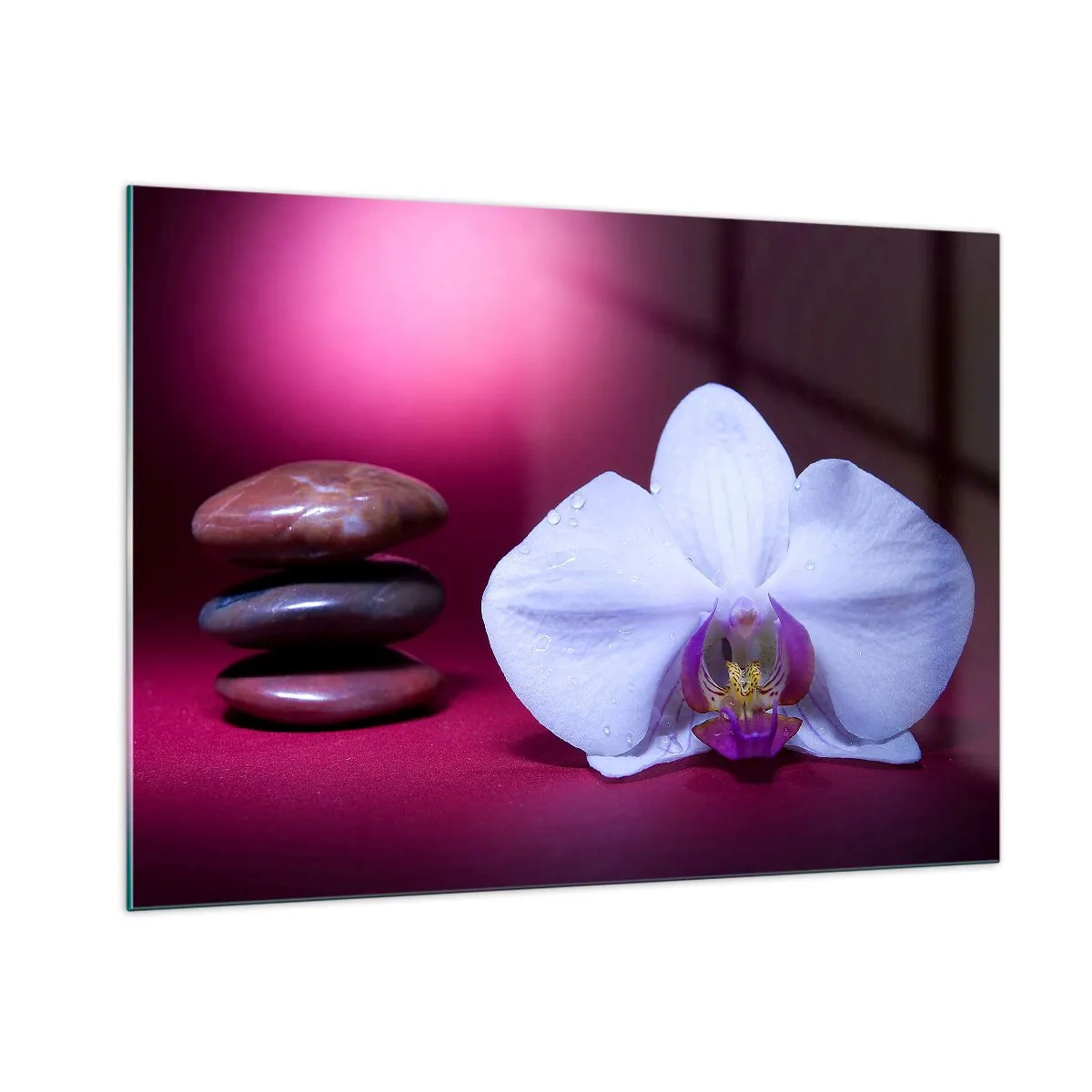 Impression sur verre - Image sur verre - Orchidée blanche et pierres sur fond de lumière violette - 100x70cm - Une étude de fraîcheur en violet - Décoration murale moderne pour le salon et la chambre ARTTOR