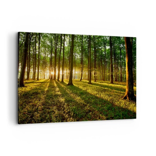 Impression sur toile - Image sur toile - Le soleil couchant dans la forêt de feuillus - 120x80cm - Toutes les photographies de printemps - Décoration murale moderne pour le salon et la chambre ARTTOR