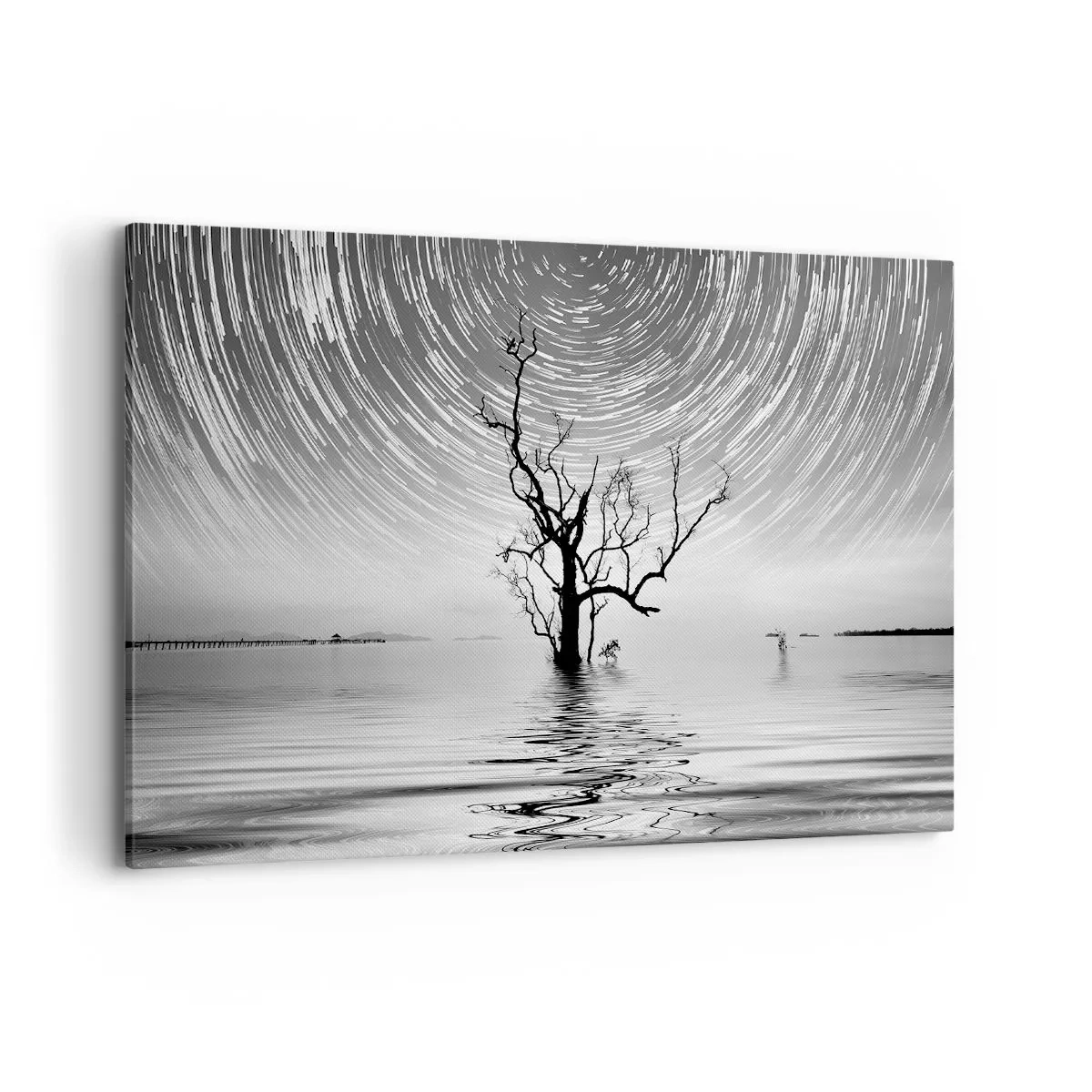 Impression sur toile - Image sur toile - Un arbre dans l'eau sous un ciel nocturne avec des étoiles en mouvement - 100x70cm - La symphonie de la nature - Décoration murale moderne pour le salon et la chambre ARTTOR