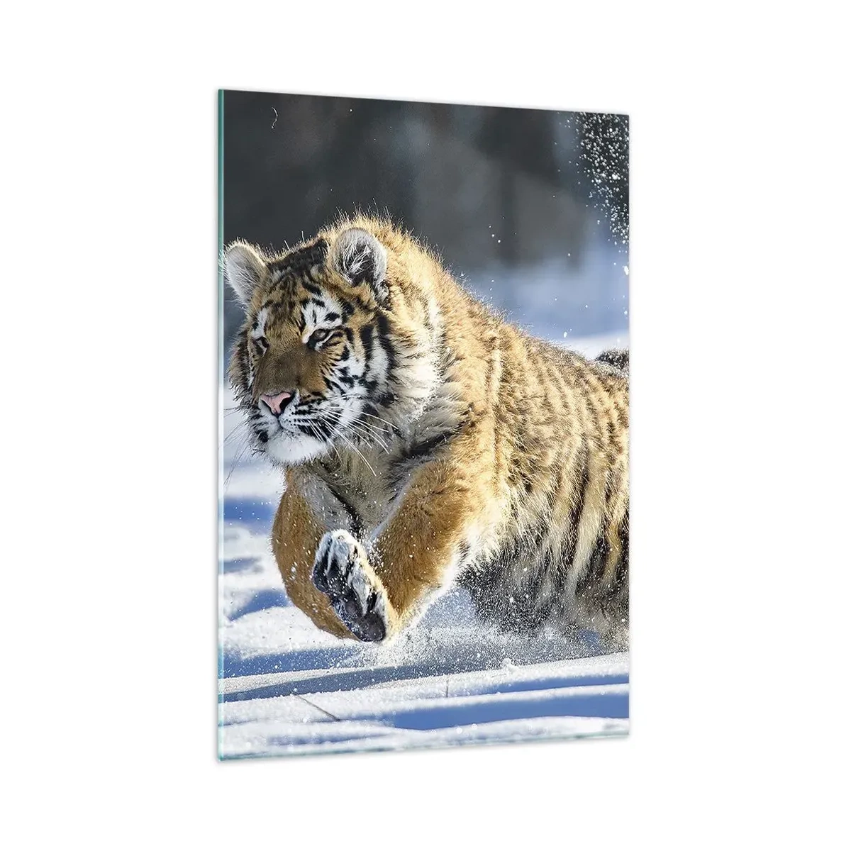 Impression sur verre - Image sur verre - Un tigre de Sibérie courant dans un paysage enneigé - 80x120cm - Dieu de la taïga sibérienne - Décoration murale moderne pour le salon et la chambre ARTTOR