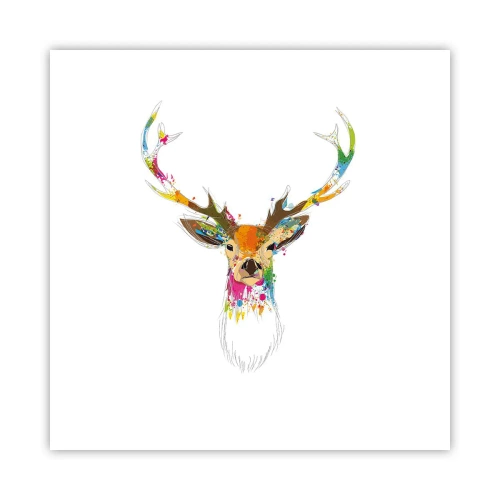 Affiche - Poster - Un cerf doux baigné de couleur - 50x50 cm