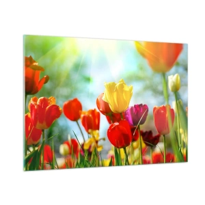 Impression sur verre - Image sur verre - Tulipes colorées illuminées par les rayons du soleil - 100x70cm - Toutes les couleurs du soleil - Décoration murale moderne pour le salon et la chambre ARTTOR