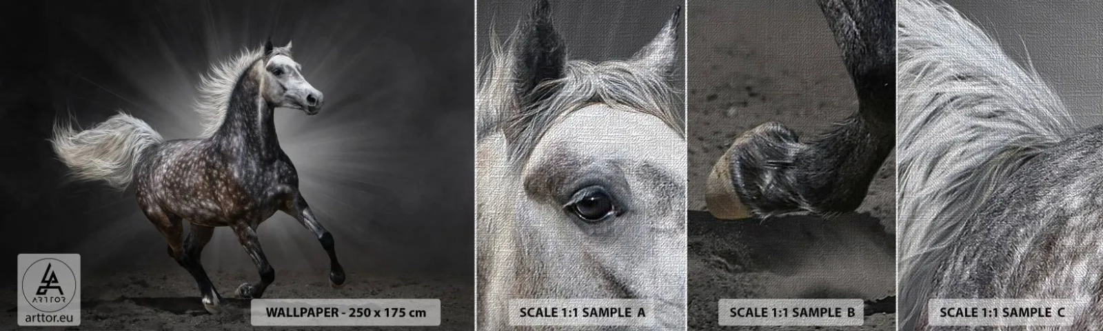 Échantillon de Papier Peint Premium Canvas - Le gris est beau - Animaux, cheval arabe, Nature - 100x30 cm