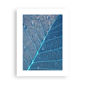 Affiche - Poster - La vie en bleu - 30x40 cm