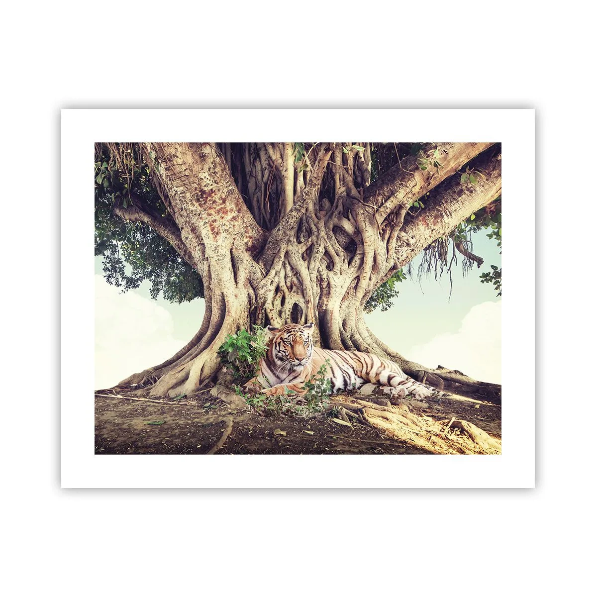 Affiche - Poster - Vue du Livre de la Genèse - 50x40 cm