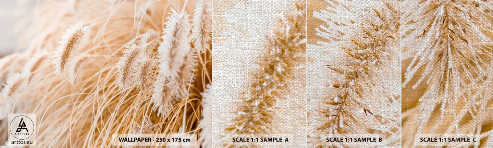 Échantillon de Papier Peint Premium Canvas - Le bruissement doré de l'herbe - Herbe de la Pampa, Prairie, Nature - 100x30 cm