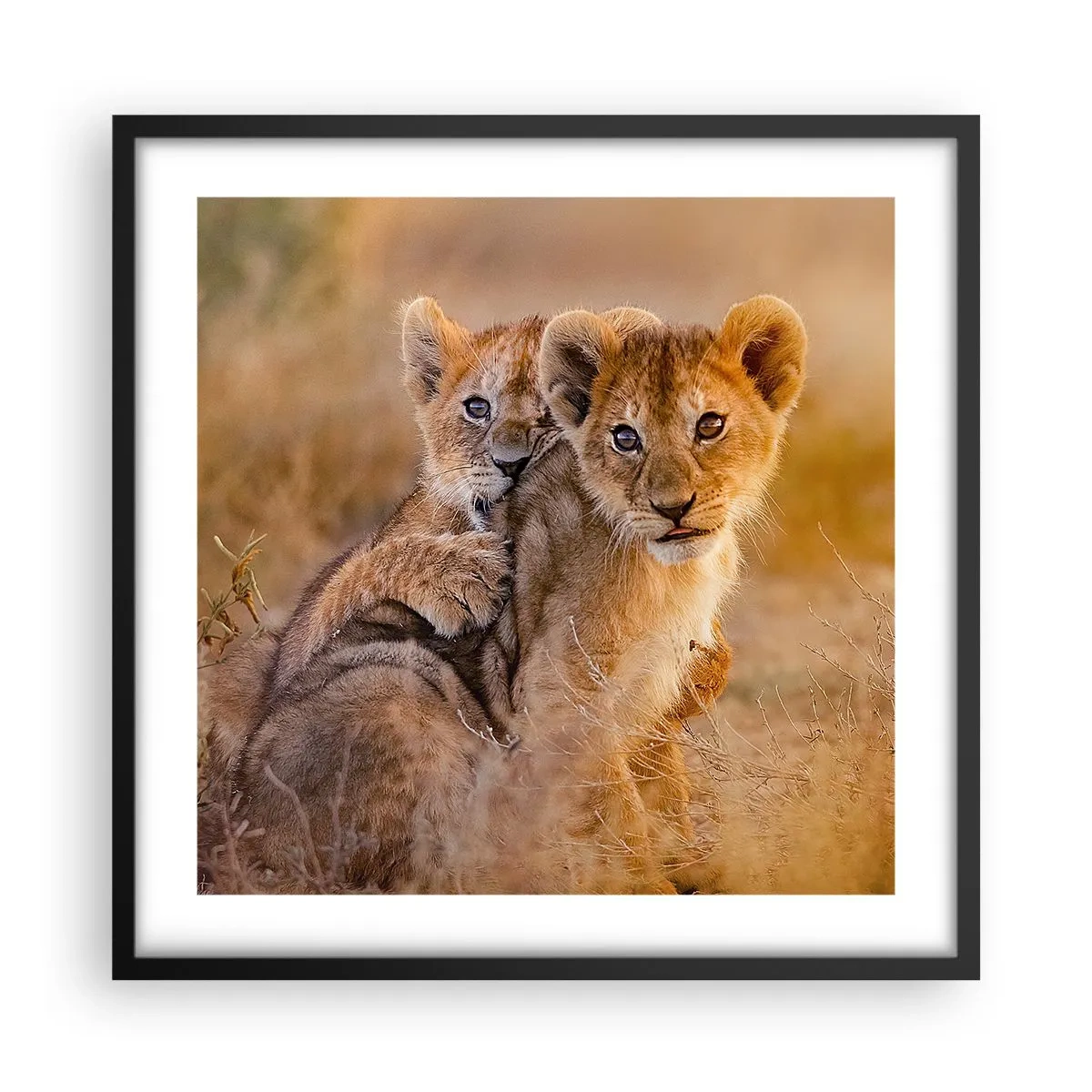 Affiche dans un cadre noir - Poster - Ne pas déranger! On s'amuse - 50x50 cm