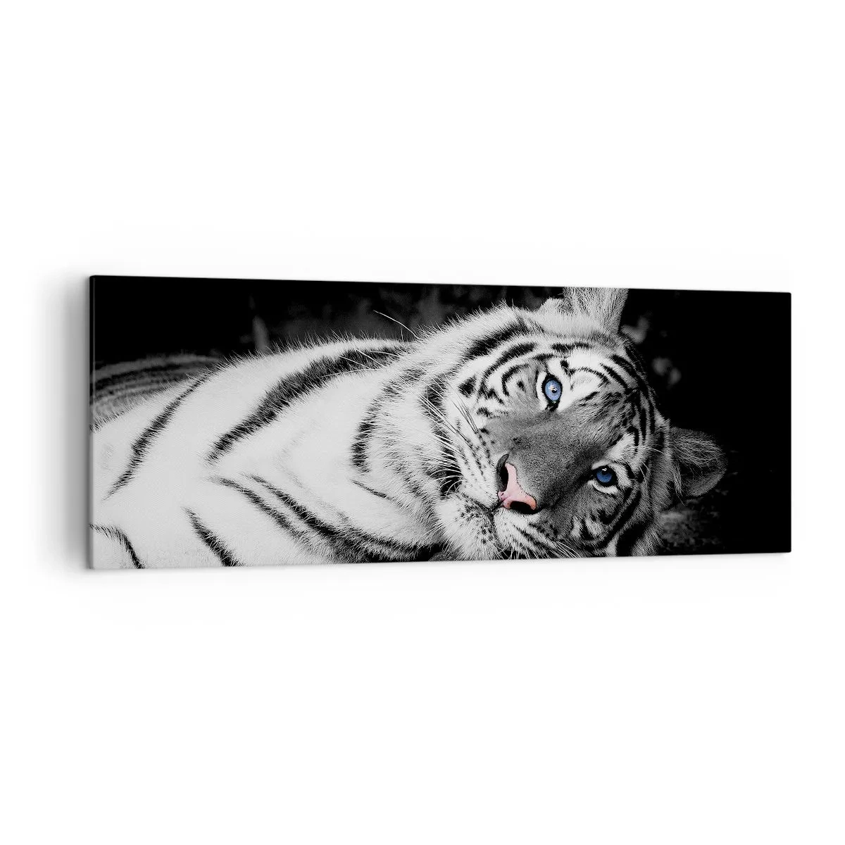 Impression sur toile - Image sur toile - Un tigre blanc rendu artistiquement sur un fond noir - 140x50cm - Sauvagerie et paix - Décoration murale moderne pour le salon et la chambre ARTTOR