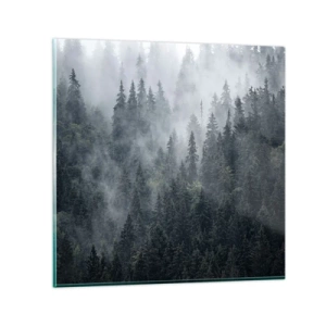 Impression sur verre - Image sur verre - Aube de la forêt - 60x60 cm
