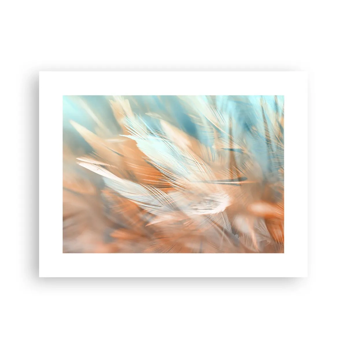 Affiche - Poster - Au pays de la douceur - 40x30 cm