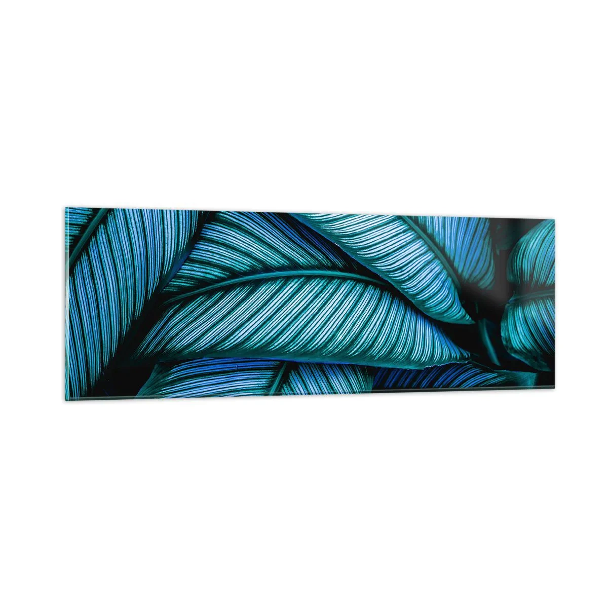 Impression sur verre - Image sur verre - Lignes de vie - 90x30 cm