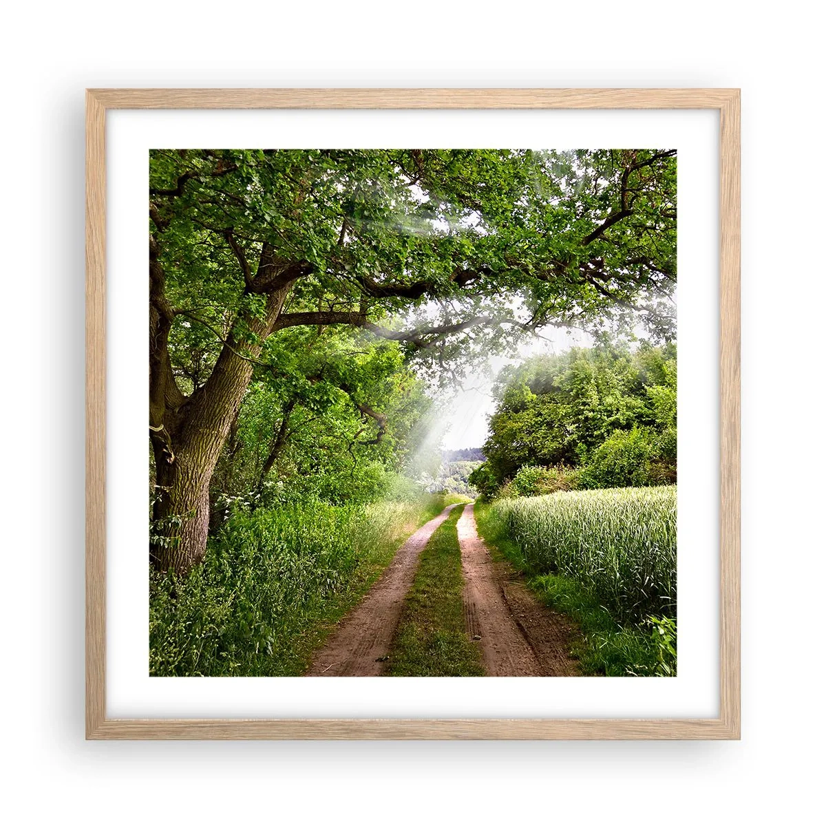 Affiche dans un chêne clair - Poster - Et in Arcadia ego - 50x50 cm