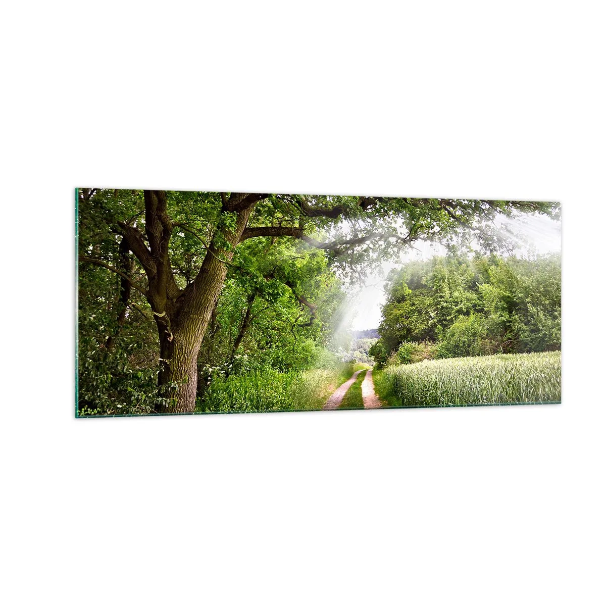 Impression sur verre - Image sur verre - Et in Arcadia ego - 100x40 cm