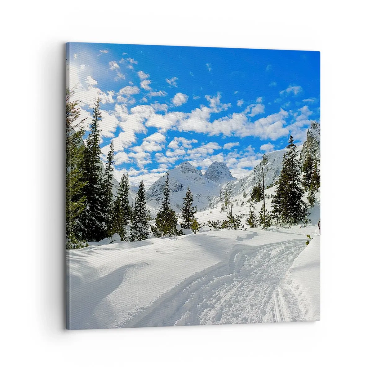 Impression sur toile - Image sur toile - Dans la neige et au soleil - 60x60 cm