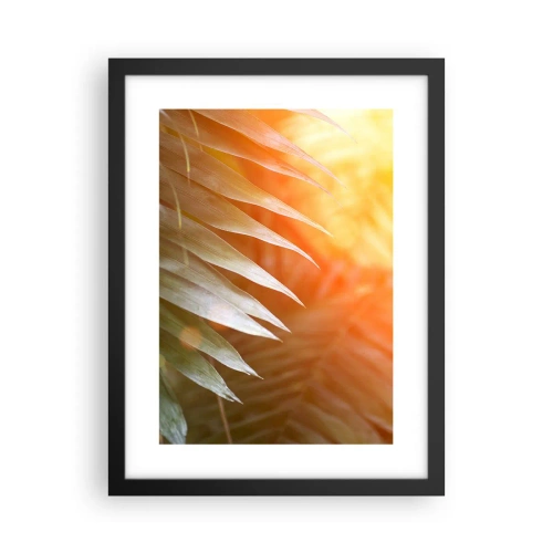Affiche dans un cadre noir - Poster - Matinée dans la jungle - 30x40 cm