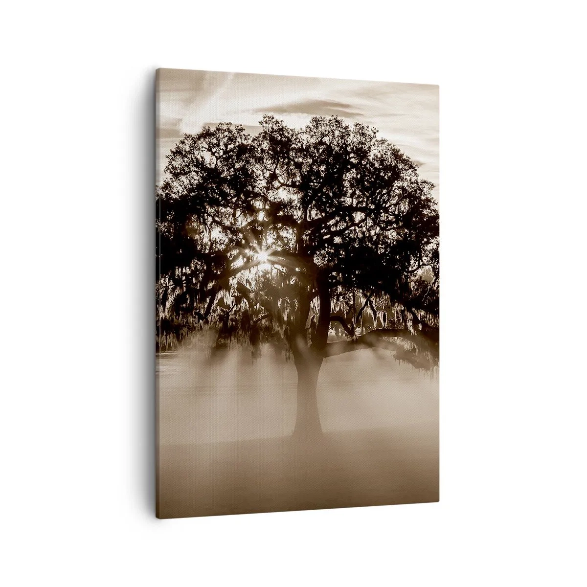 Impression sur toile - Image sur toile - Des rayons de soleil brillent à travers un arbre solitaire - 50x70cm - Arbre de bonnes nouvelles - Décoration murale moderne pour le salon et la chambre ARTTOR
