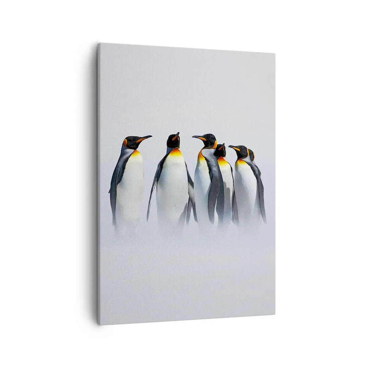 Impression sur toile - Image sur toile - Un groupe de manchots empereurs dans le brouillard hivernal - 50x70cm - Rencontre en robes de soirée - Décoration murale moderne pour le salon et la chambre ARTTOR