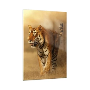 Impression sur verre - Image sur verre - Un tigre marchant dans la savane aux couleurs chaudes - 80x120cm - Avant l'attaque - Décoration murale moderne pour le salon et la chambre ARTTOR