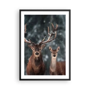 Affiche dans un cadre noir - Poster - Un couple de cerfs sur fond de forêt hivernale - 50x70cm - Le roi de la forêt avec sa femme - Décoration murale moderne pour le salon et la chambre ARTTOR