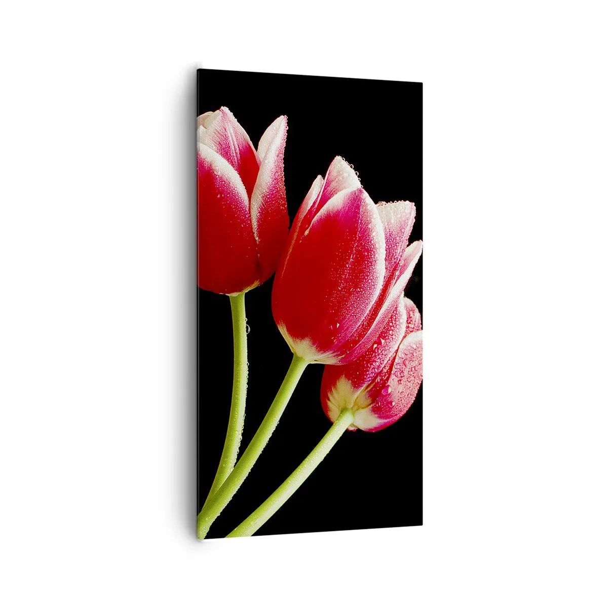 Impression sur toile - Image sur toile - Une promesse d'amour pur - 65x120 cm