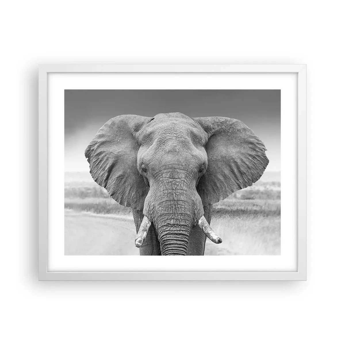 Affiche dans un cadre blanc - Poster - Bienvenue dans mon monde - 50x40 cm