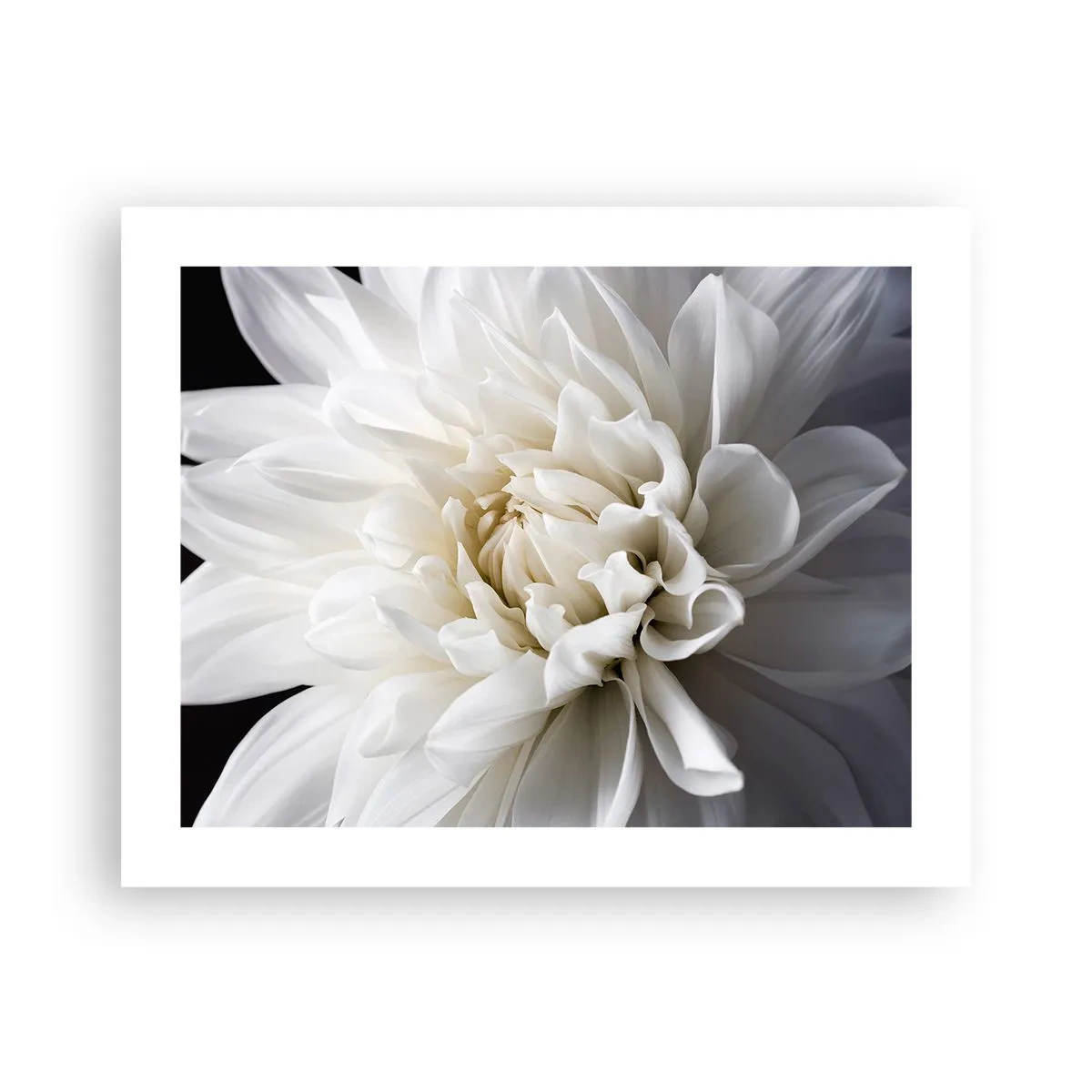 Affiche - Poster - Le matin de la jeune mariéé - 50x40 cm