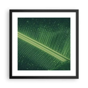 Affiche dans un cadre noir - Poster - Structure de vert - 40x40 cm