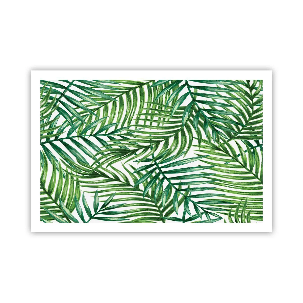 Affiche - Poster - Sous la canopée verte - 91x61 cm