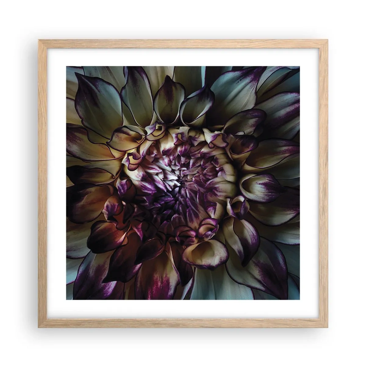 Affiche dans un chêne clair - Poster - L'apogée de la jeunesse - 50x50 cm