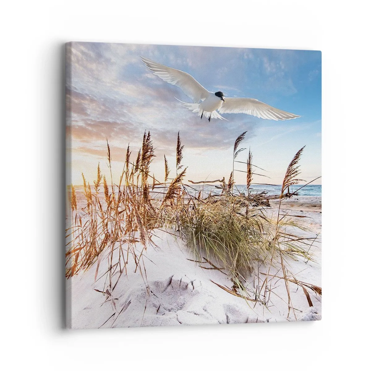 Impression sur toile - Image sur toile - Vent de mer - 30x30 cm