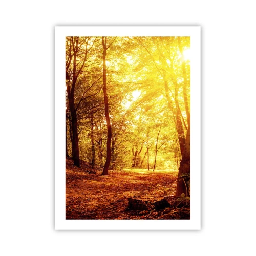Affiche - Poster - Coucher de soleil illuminant une forêt d'automne pleine de feuilles dorées - 50x70cm - Vers la clairière dorée - Décoration murale moderne pour le salon et la chambre ARTTOR