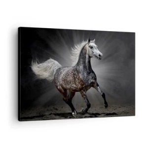Impression sur toile - Image sur toile - Un cheval blanc galopant sur un fond sombre - 70x50cm - Le gris est beau - Décoration murale moderne pour le salon et la chambre ARTTOR