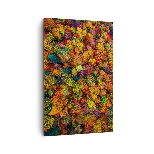 Impression sur toile - Image sur toile - Couronnes d'arbres colorées dans la palette d'automne - 80x120cm - Bouquet d'arbres automnal - Décoration murale moderne pour le salon et la chambre ARTTOR