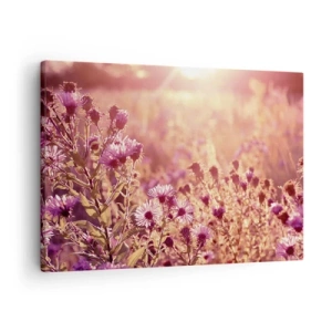 Impression sur toile - Image sur toile - Prairie à la lumière du soleil couchant - 70x50cm - Avant que l'été ne parte - Décoration murale moderne pour le salon et la chambre ARTTOR