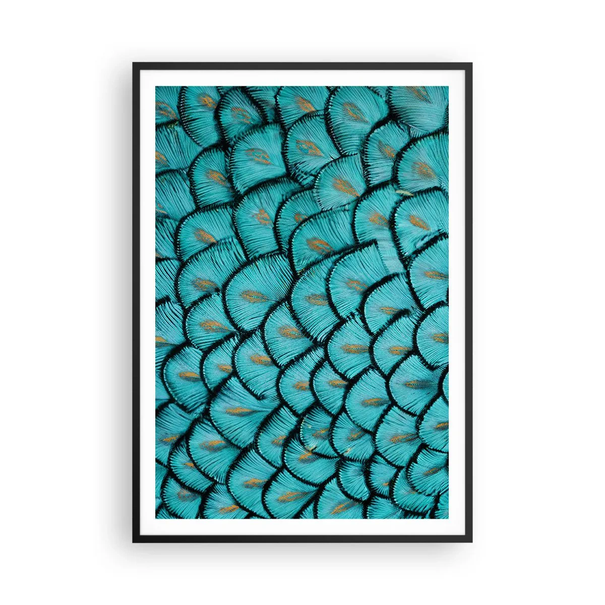 Affiche dans un cadre noir - Poster - Le grand gala des plumes - 70x100 cm