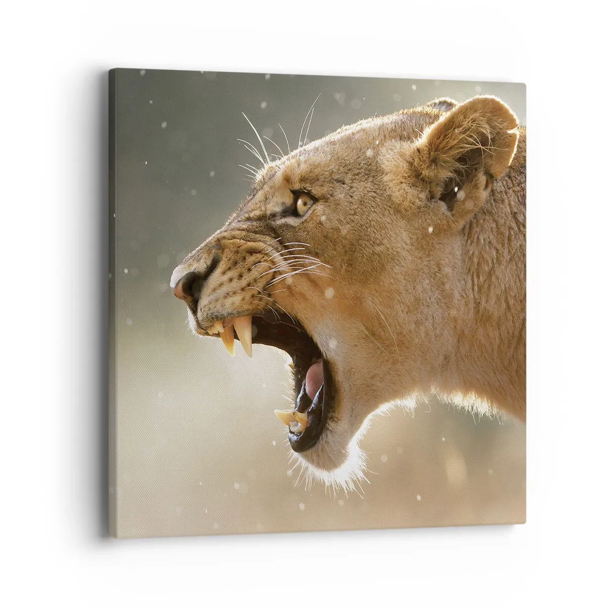 Impression sur toile - Image sur toile - Essayez de ne pas écouter - 40x40 cm