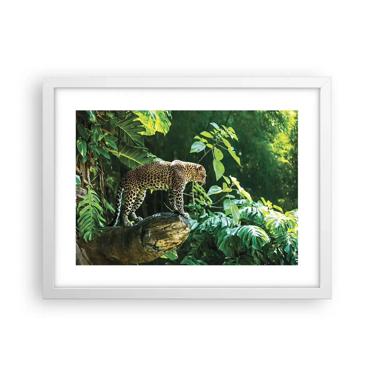 Affiche dans un cadre blanc - Poster - À la chasse? - 40x30 cm