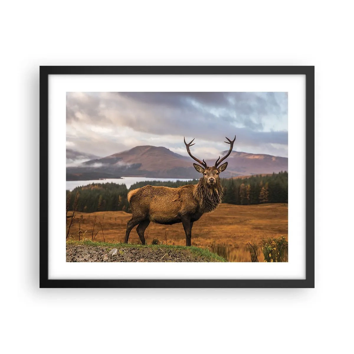 Affiche dans un cadre noir - Poster - Majesté de la nature - 50x40 cm