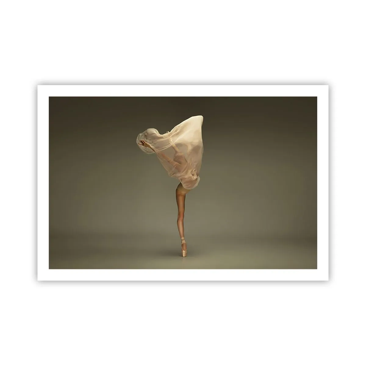 Affiche - Poster - Il va bientôt s'envoler - 91x61 cm