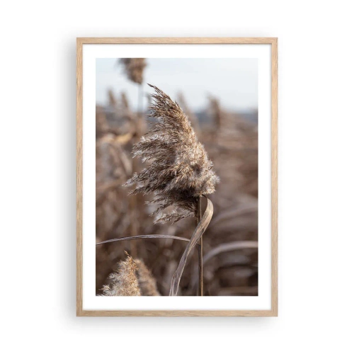 Affiche dans un chêne clair - Poster - Il est temps de s'envoler avec le vent - 50x70 cm