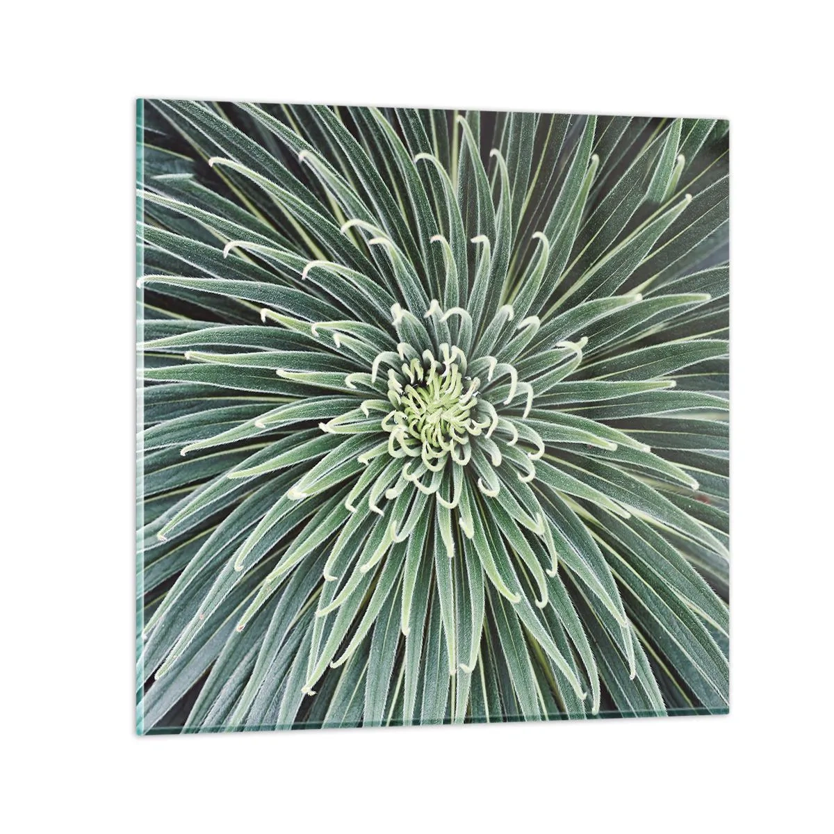 Impression sur verre - Image sur verre - Naissance d'une étoile - 70x70 cm