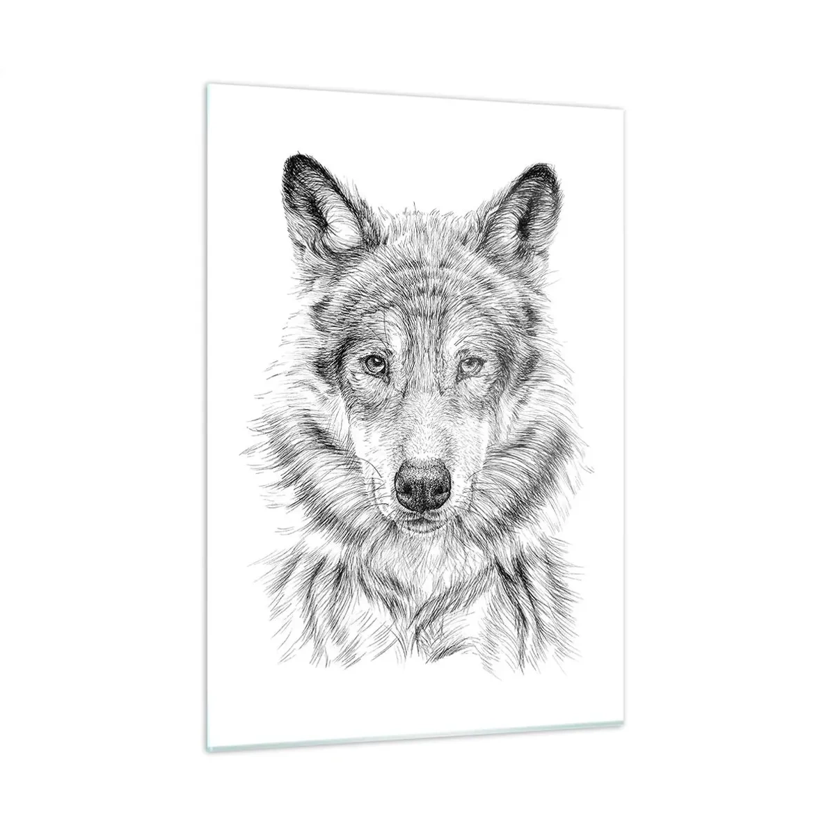 Impression sur verre - Image sur verre - Croquis noir et blanc d'une tête de loup sur fond blanc - 50x70cm - Un leader né - Décoration murale moderne pour le salon et la chambre ARTTOR