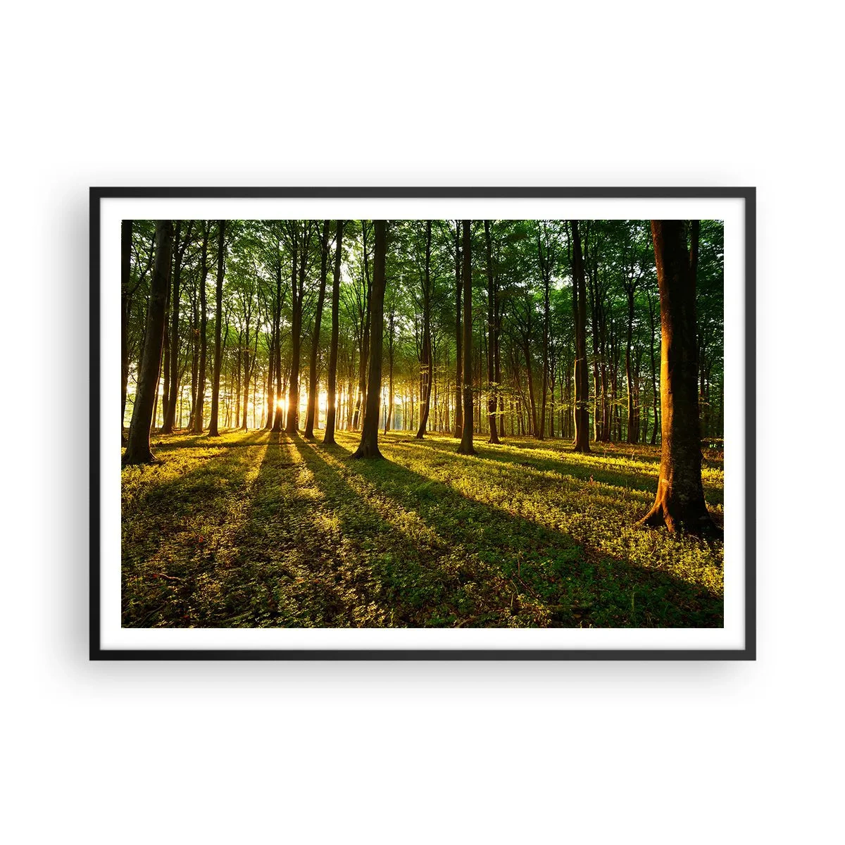 Affiche dans un cadre noir - Poster - Le soleil couchant dans la forêt de feuillus - 100x70cm - Toutes les photographies de printemps - Décoration murale moderne pour le salon et la chambre ARTTOR
