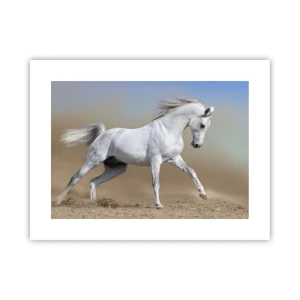 Affiche - Poster - Le plus beau conte de fées arabe - 40x30 cm